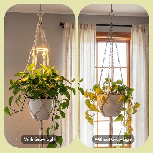 2 Pack Hanging Plant Grow Lights for Indoor Plants with Timer, Wall Mounted Full Spectrum Pendant Growing Light with Macrame Plant Hanger, Ceiling LED Planta Luz for Potted Plants Home Decor - Image 2