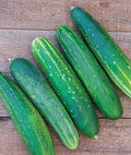 Burpee 'Straight Eight' Slicing Cucumber Seeds, 200 Non-GMO seeds, Heirloom by Burpee