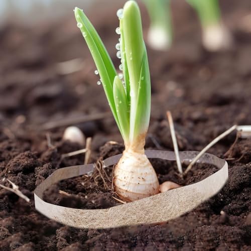 Plants Nursery Bags Non-Woven Seedling Grow Bags, 200 Pcs, 16*20cm - Image 5