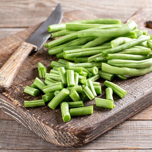 Banyan Botanicals Organic Green Bean Seeds – Provider Heirloom Green Bean Seeds – Early-Producing, Tender, and Crisp – 100 Count – Open Pollinated Non-GMO Easy to Grow - Image 3