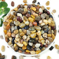 YISZM 10LB Succulent and Cactus Gravel Pebbles, 3/8 Inch Natural Stones by YISZM-ForYourNaturalLife