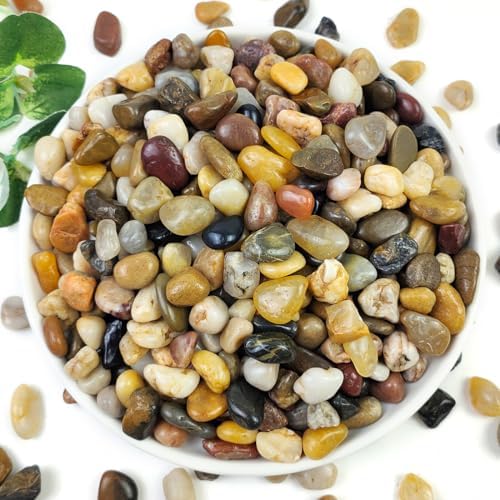 YISZM 10LB Succulent and Cactus Gravel Pebbles, 3/8 Inch Natural Stones by YISZM-ForYourNaturalLife
