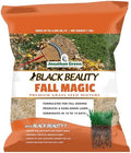 Jonathan Green Black Beauty Fall Magic Grass Seed - 7 lb by JonathanGreen