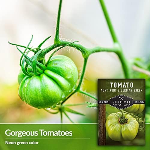 Aunt Ruby's German Green Tomato Seeds for Planting - 1 Pack - Image 3