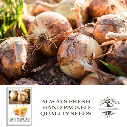 Yellow Sweet Spanish Onion Seeds (Allium cepa) – 750+ Non-GMO Heirloom Seeds by Isla’s Garden Seeds, Mild & Sweet Flavor, Large Golden Bulbs, Excellent for Cooking, Slicing & Storage, Garden Gift Idea - Image 4