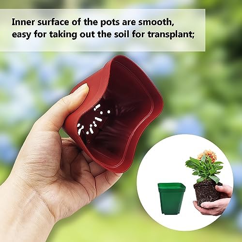 RooTrimmer Square Plastic Nursery Pot 3" 120 Pcs Deep Succulent Pots Small Flower Planter Seeds Starter Pots with Drainage (Green,Black,Red 40pcs Each,2.7Inches) - Image 3