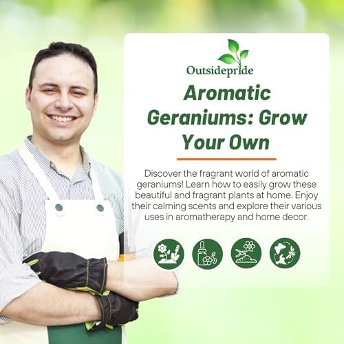 Outsidepride White Geranium Seeds for Planting - 25 Pcs Annual, Heat & Drought Tolerant Flower Seeds with Green Foliage & White Blooms for Pots, Borders & Lush Summer Garden Displays - Image 5