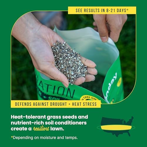 Sunday Heat Tolerant 3-in-1 Grass Seed & Fertilizer - Covers 1,500 sq ft - Image 5