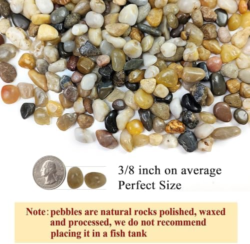 FANTIAN Pea Gravel for Fish Tank,5 lbs Polished Pebble for Plants, 1/4 Inch - Image 2