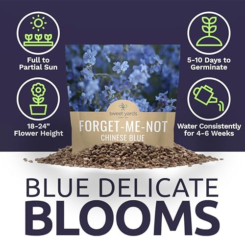 Chinese Forget Me Not Wildflower Seeds - Bulk 1 Ounce Packet - Over 5,500 Open Pollinated Seeds - Blue Cynoglossum amabile - Image 6