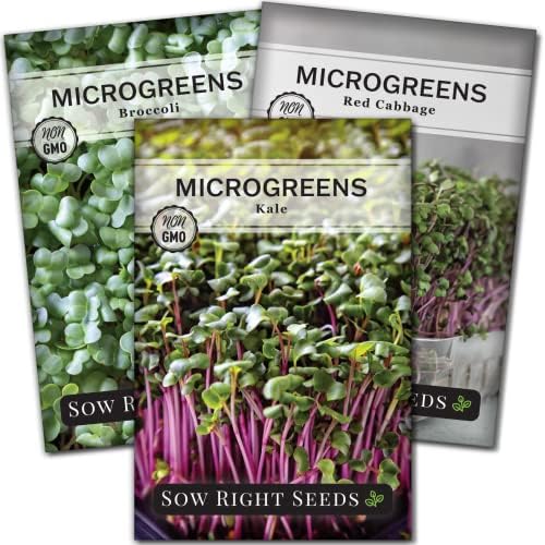 Sow Right Seeds- Superfood Microgreens Seed Collection for Planting Indoors by SowRightSeeds
