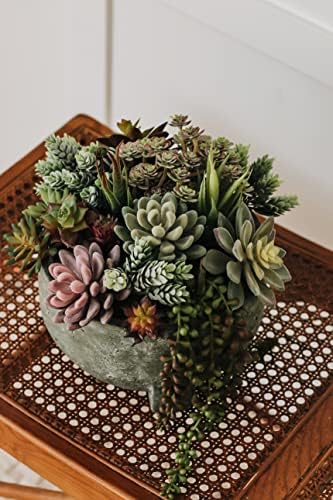 Artificial Succulent Plants Fake Assorted - 16 Pack - Unpotted Face Succulent Plants - Realistic Textured Succulents Picks - Fake Plants for Decoration - Faux Aloe Cactus Plant Bulk - Image 2