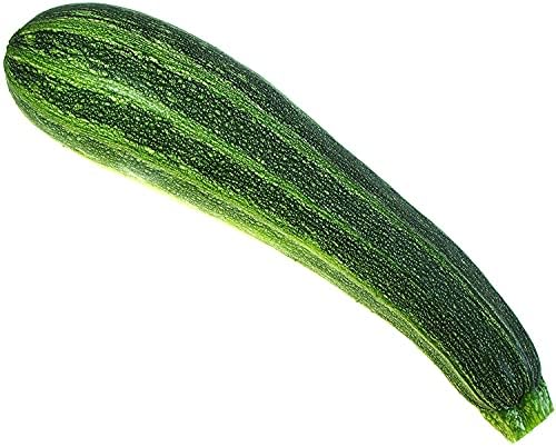 Italian Striped Zucchini Summer Squash Seeds – 50+ Heirloom Non-GMO Seeds by Isla’s Garden Seeds, High-Yield & Flavorful Variety, Perfect for Home Gardens, Easy to Grow, Great Gardening Gift - Image 4