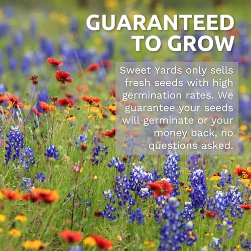 Pacific Northwest Regional Mix - Large 1 Ounce Packet - 24,000 Flower Seeds for Planting - Wildflower Mix - Image 6