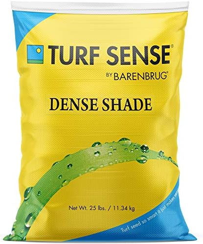 Barenbrug 25627 Turf Sense Dense Shade Grass Seed, 25 LB Bag, Excellent Wear Tolerance by Barenbrug