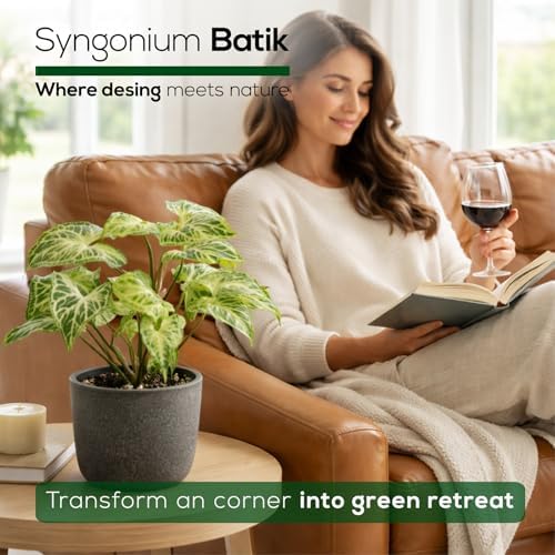 Syngonium Batik Plant (4 Pack) Live Starter Plants, Variegated Arrowhead Vine Houseplants, Easy Care Indoor Tropical Plants Live, Decorative Foliage Plants - Image 6