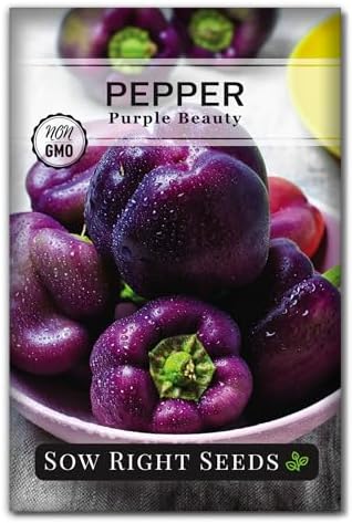 Sow Right Seeds - Purple Beauty Seed for Planting Sweet Bell Peppers by SowRightSeeds
