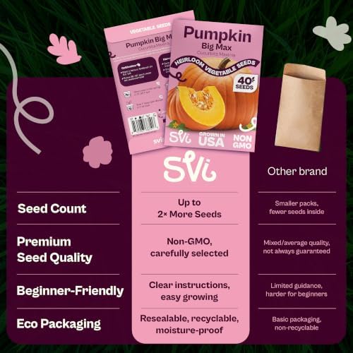SVI 40 Big Max Pumpkin Seeds (Cucurbita Maxima) – Giant Pumpkin Seed Packets, Pumpkins Squash Garden Seed – Heirloom Vegetable Seeds for Home Garden, Outdoor Beds, and Sunny Home Plots - Image 6