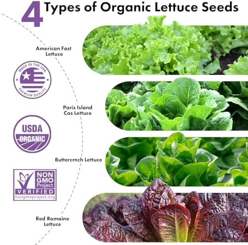 LYKOCLEAN Salad Romaine Lettuce Seed Pods for AeroGarden,Ahopegarden, iDOO Hydroponics Growing System,350 Seeds+ Including American Lettuce,Paris Island Cos,Buttercrunch (12-Pods) - Image 2