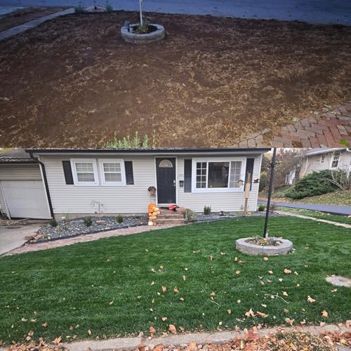 Turf Type Tall Fescue Grass Seed – 25 lbs - Image 3