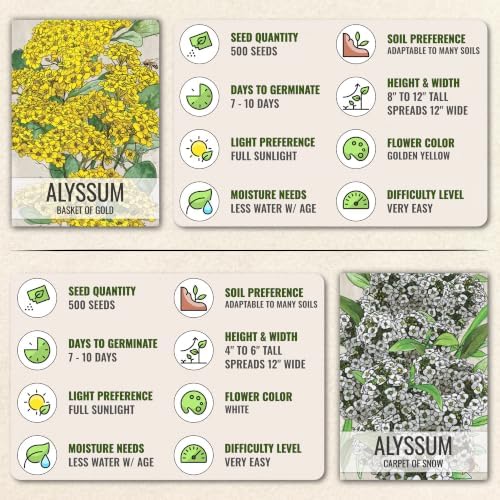 Seed Needs Alyssum Seeds Variety Pack of 4 Groundcover Flowers to Plant - Image 7