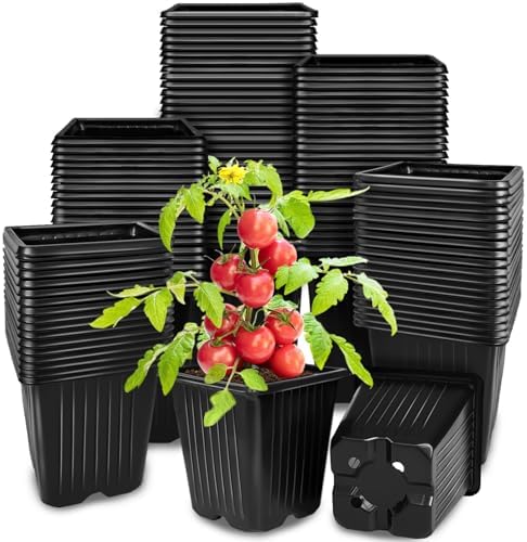 Anyumocz 100Pcs Square Plant Nursery Pots,3.5 Inch Plastic Pots with Drainage Holes,Reusable Seed Starter Pots for Flowers,Vegetables,Garden Planting,Transplanting,Succulents,Cuttings(Black) by Anyumocz