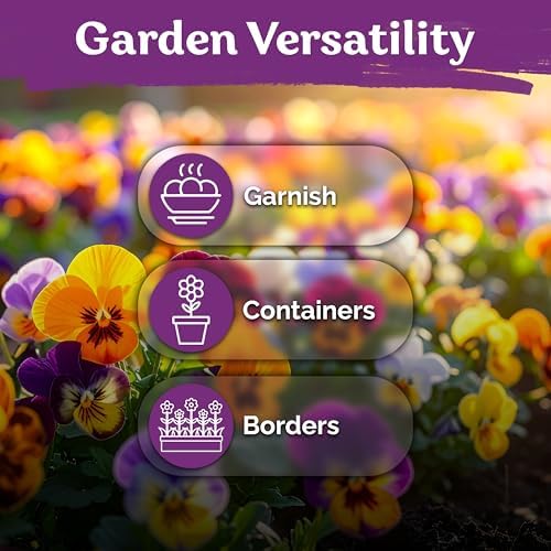 1,600 Swiss Giants Pansy Heirloom Flower Seeds, Viola Wittrockiana - Image 6