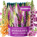 350,000+ Common Foxglove Seeds for Planting, Digitalis purpurea Seeds by Unknown