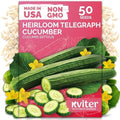 50 English Telegraph Cucumber Heirloom Vegetable Seeds, Cucumis Sativus by KVITER