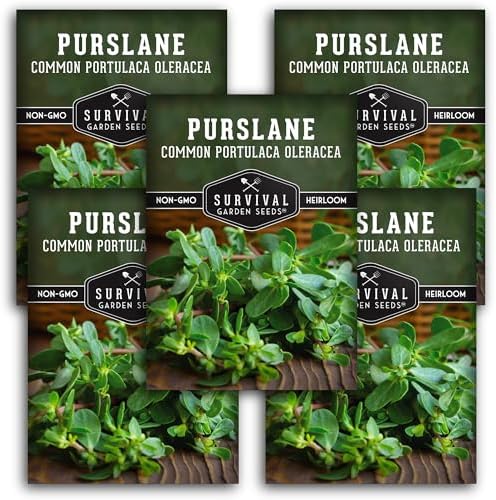Purslane Seeds for Planting, Verdolagas - 5 Packs by SurvivalGardenSeeds