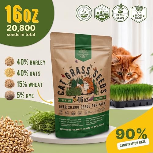 Cat Grass Seeds Mix - 20,800 Non-GMO Heirloom Seeds for Cats & Pets, 16 oz Pack for Growing Fresh Barley, Oat, Rye & Wheat Grass Seeds for Planting, Indoor Plants, Hairball Remedy - Image 3