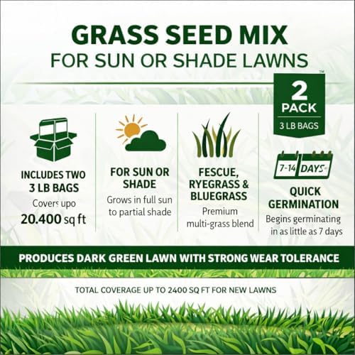 Jonathan Green Black Beauty Ultra Grass Seed for Sun or Shade Lawns, All Grass Types, 3 lb Bags (2 Pack), Covers Up to 2400 sq ft, Fescue Ryegrass Kentucky Bluegrass Blend - Image 3