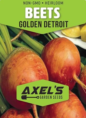 50+ Beet Seeds for Planting – Heirloom Non-GMO - Image 2