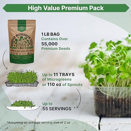 Organo Republic Arugula Sprouting & Microgreens Seeds - 55,000 Non-GMO Heirloom Seeds, Sprouts in 4 oz Resealable Bag for Planting & Growing Microgreens in Soil, Coconut Coir, Aeroponic & Hydroponic - Image 3