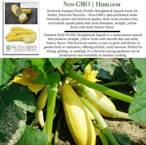 Early Prolific Straightneck Squash Seeds – 50+ Non-GMO & Heirloom Vegetable Seeds, Cucurbita Pepo, Fast Growing Yellow Summer Squash, High Yield for Containers & Gardens, Gift Idea by Isla’s Garden - Image 3