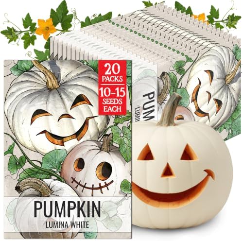 Seed Needs Lumina White Pumpkin Seeds to Plant Vegetables - 20 Packs by SeedNeeds