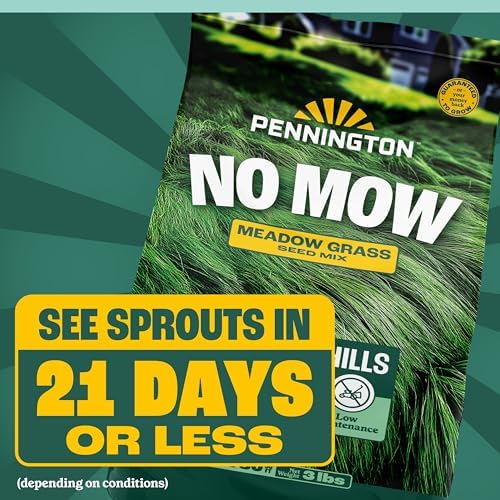 Pennington No Mow Mix, Fescue Grass Seeds for Lawn, 3 lb - Image 5
