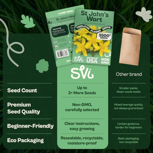 SVI 3500 St Johns Wort Seeds (Hypericum pyramidatum) – Giant St. John's Wort Wildflower Seed Packets – Yellow Native Herb Seed, Perennial Flower Seeds Packets for Outdoor Garden, Flower Beds - Image 6