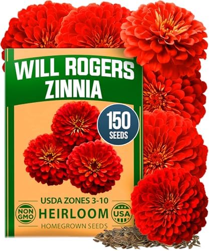 HOME GROWN Zinnia Seeds, Will Rogers, 150 Seeds, Zinnia elegans by HOMEGROWN