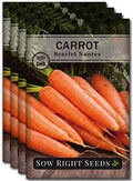 Sow Right Seeds - Scarlet Nantes Carrot Seed for Planting Baby Carrots 4pk by SowRightSeeds
