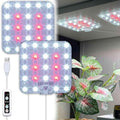Under Shelf Grow Light, Auto Timer, Dimmable, Bright White, 1-Pack by DommiaBuynow