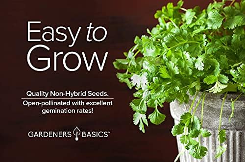 Gardeners Basics Cilantro Seeds for Planting Heirloom Non-GMO Herb Coriander Plant Seeds for Home Garden Vegetables Makes a Great Gift for Gardening - Image 6