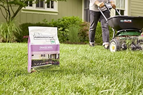Fundamentals by Scotts Grass Seed Perennial Ryegrass Mix, Ideal for Sunny, High Traffic Areas and Erosion Control, 3 lbs. (Pack of 2) - Image 7