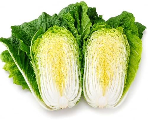 Korean Fall Napa Cabbage Seeds (Hwimori) – Kimchi Variety for Home Gardens - Image 2