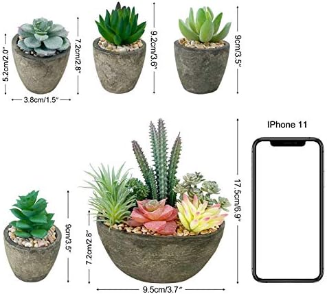 Succulents Plants Artificial Set of 5, Realistic Fake Succulents with Cement Like Pots for Home Office Decoration. - Image 2