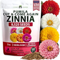 HOME GROWN Zinnia Seeds, Pumila Mix, 8,525 Seeds, Zinnia elegans by HOMEGROWN