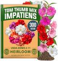 HOME GROWN Impatiens Seeds, Tom Thumb Mix, 300 Seeds, Impatiens balsamina by HOMEGROWN