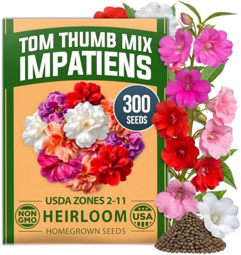 HOME GROWN Impatiens Seeds, Tom Thumb Mix, 300 Seeds, Impatiens balsamina by HOMEGROWN