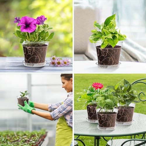 WSMKSZ 3 Inch Clear Nursery Pots, 60 Pack Highly Transparent Plastic Seedling Starter Planters with Drainage Holes and Trays for Flowers, Small Plant Pots for Indoor Plants - Image 7