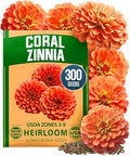 HOME GROWN Zinnia Seeds, Coral, 300 Seeds, Zinnia elegans by HOMEGROWN